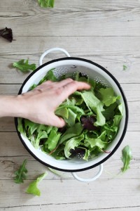 Vatertag - Florette Salat