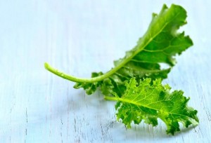 Baby Kale (junger Grünkohl), das Powergemüse für die kalte Jahreszeit 