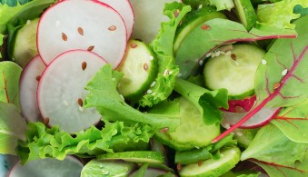 Florettes neue Salatmischung Émotions Bunt & Delikat