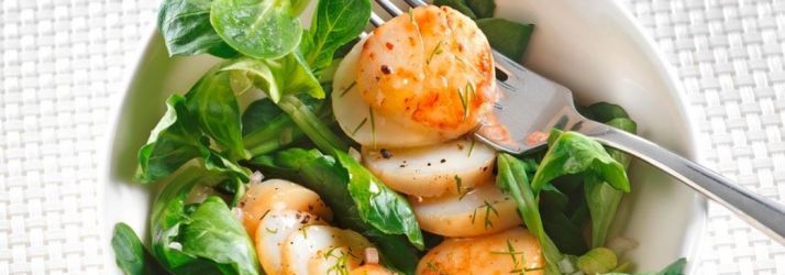 Gebratene Jakobsmuscheln auf Feldsalat - Florette Salat Rezepte