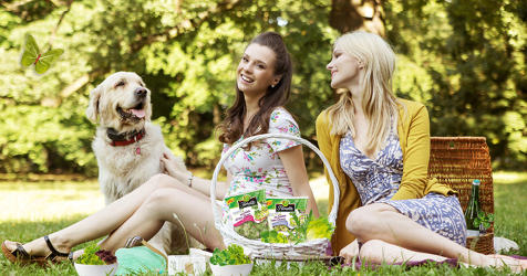 Glückssalat im Picknick-Bild finden