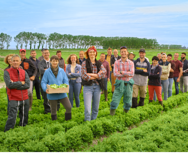 Groupe agriculteurs coopérateurs Florette