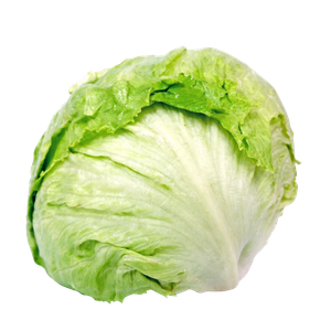 Ingrédient - Salade Iceberg